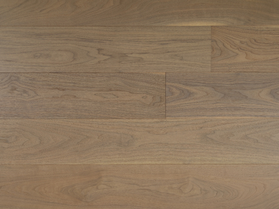 American Black Walnut - Provence